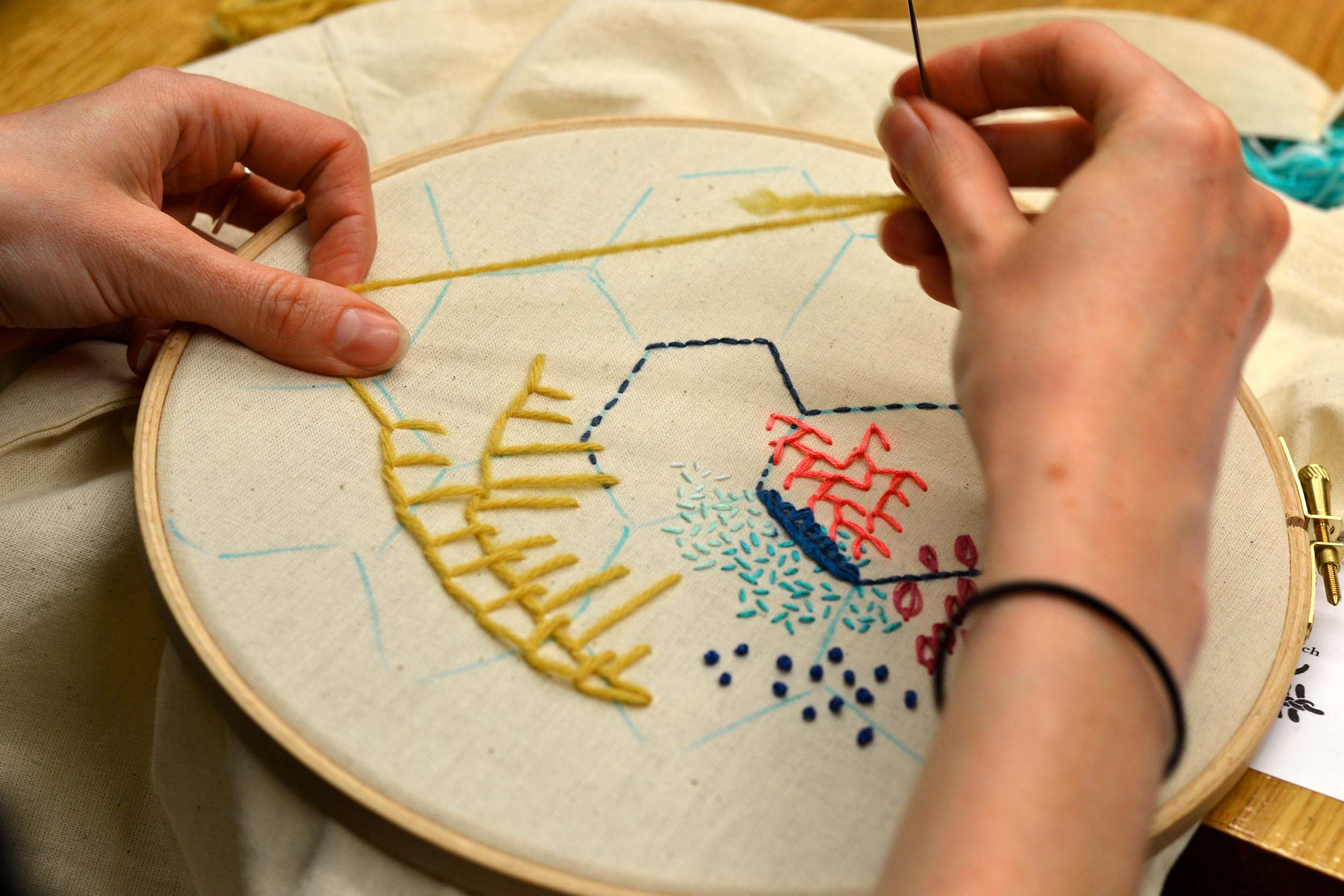 Basic and Advance Hand Embroidery
